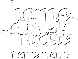 Homo Mediterraneus